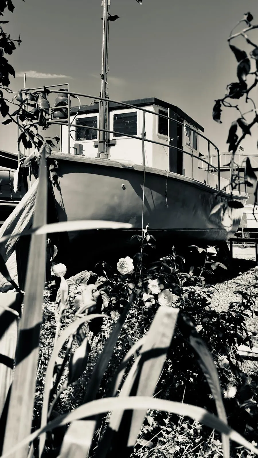 Black & white example